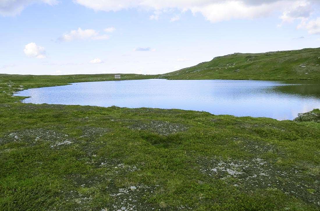 jämtlandstriangeln traningsgladje.se