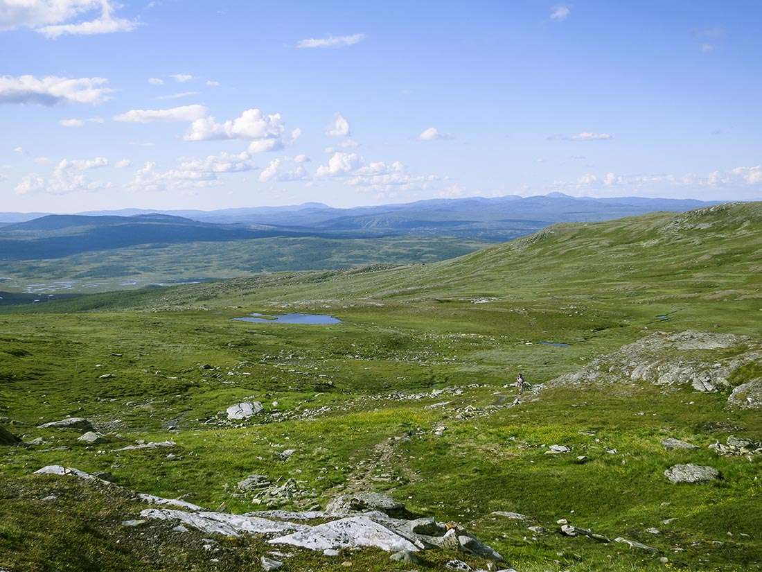 jämtlandstriangeln traningsgladje.se