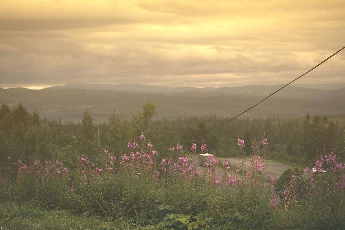 ullådalen sommar