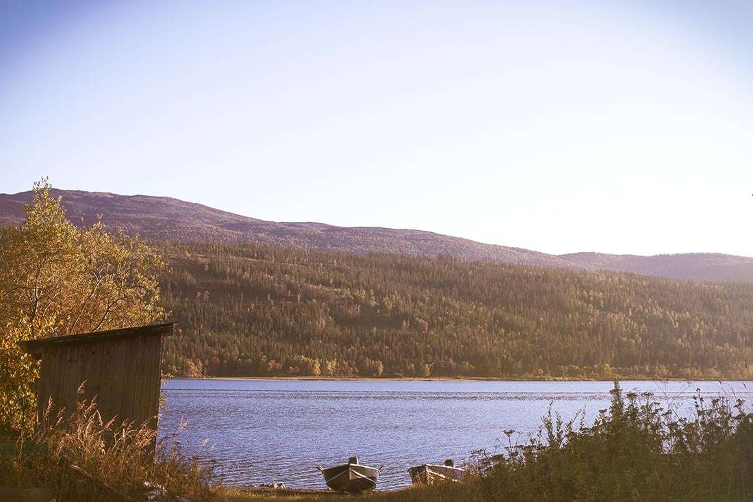 träningsglädje
