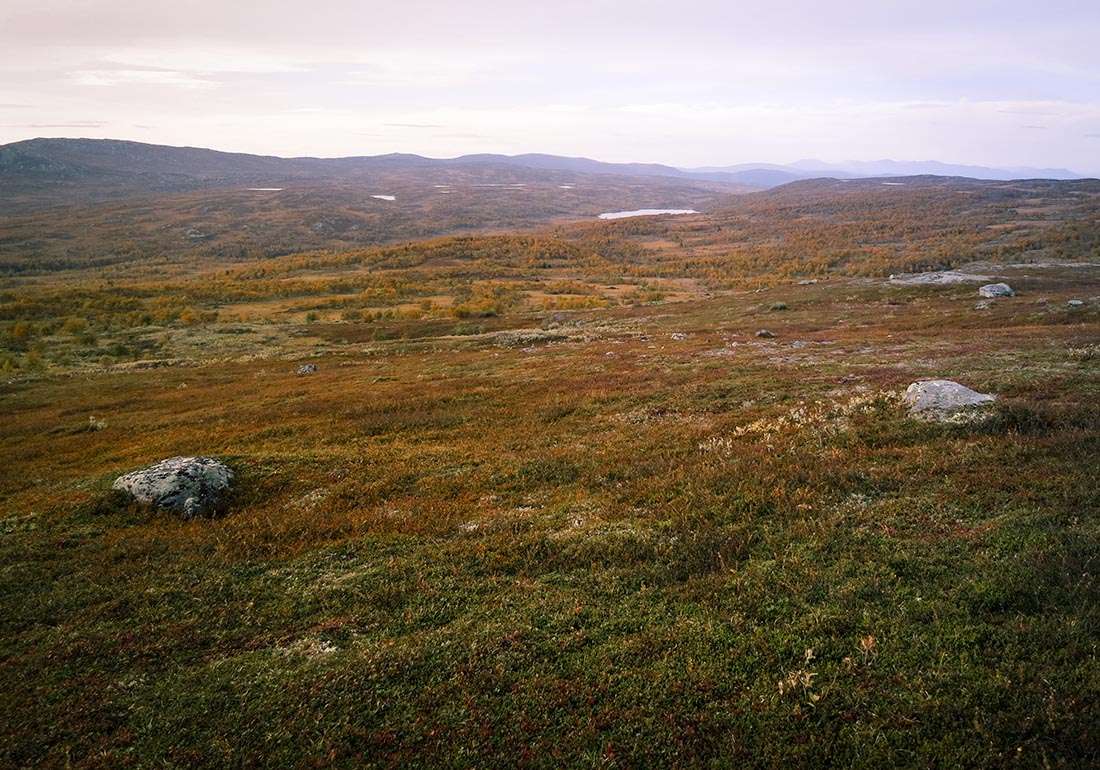 jörgens åre