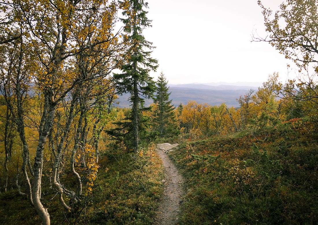 jörgens stig åre