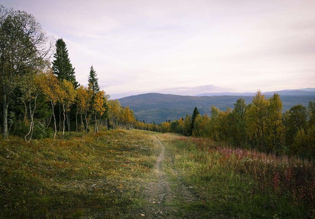jörgens stig åre
