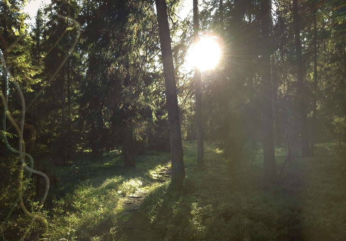 ristafallsrundan 2