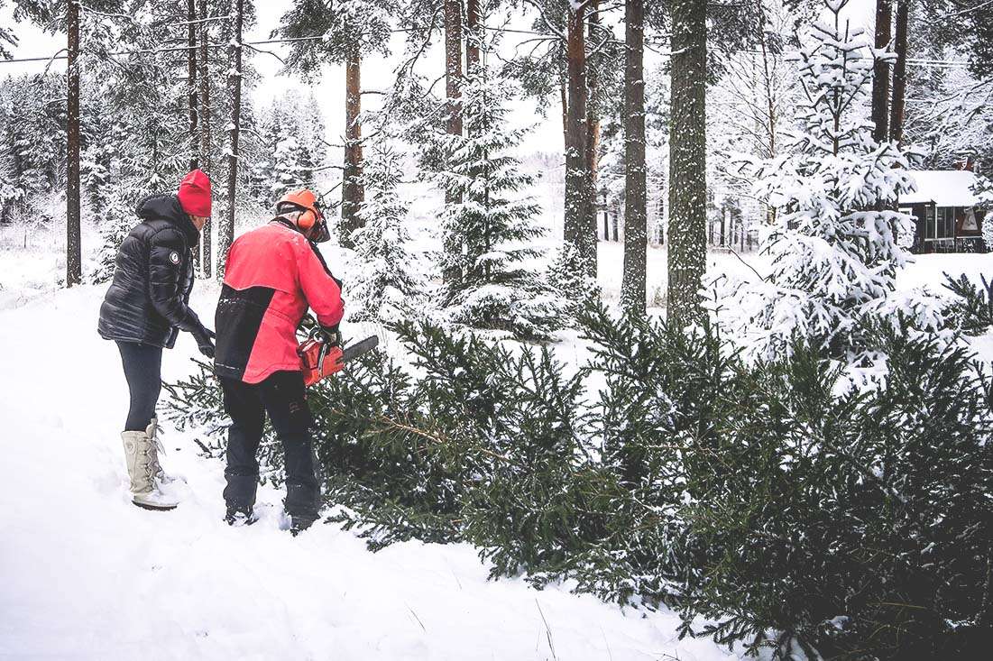 jul i hälsingland