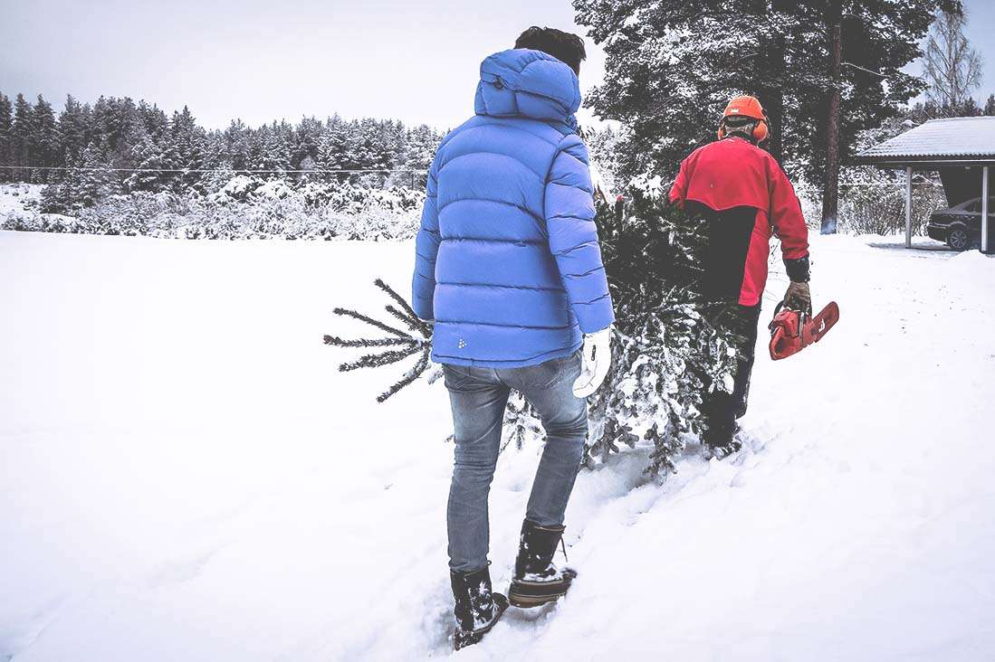 jul i hälsingland