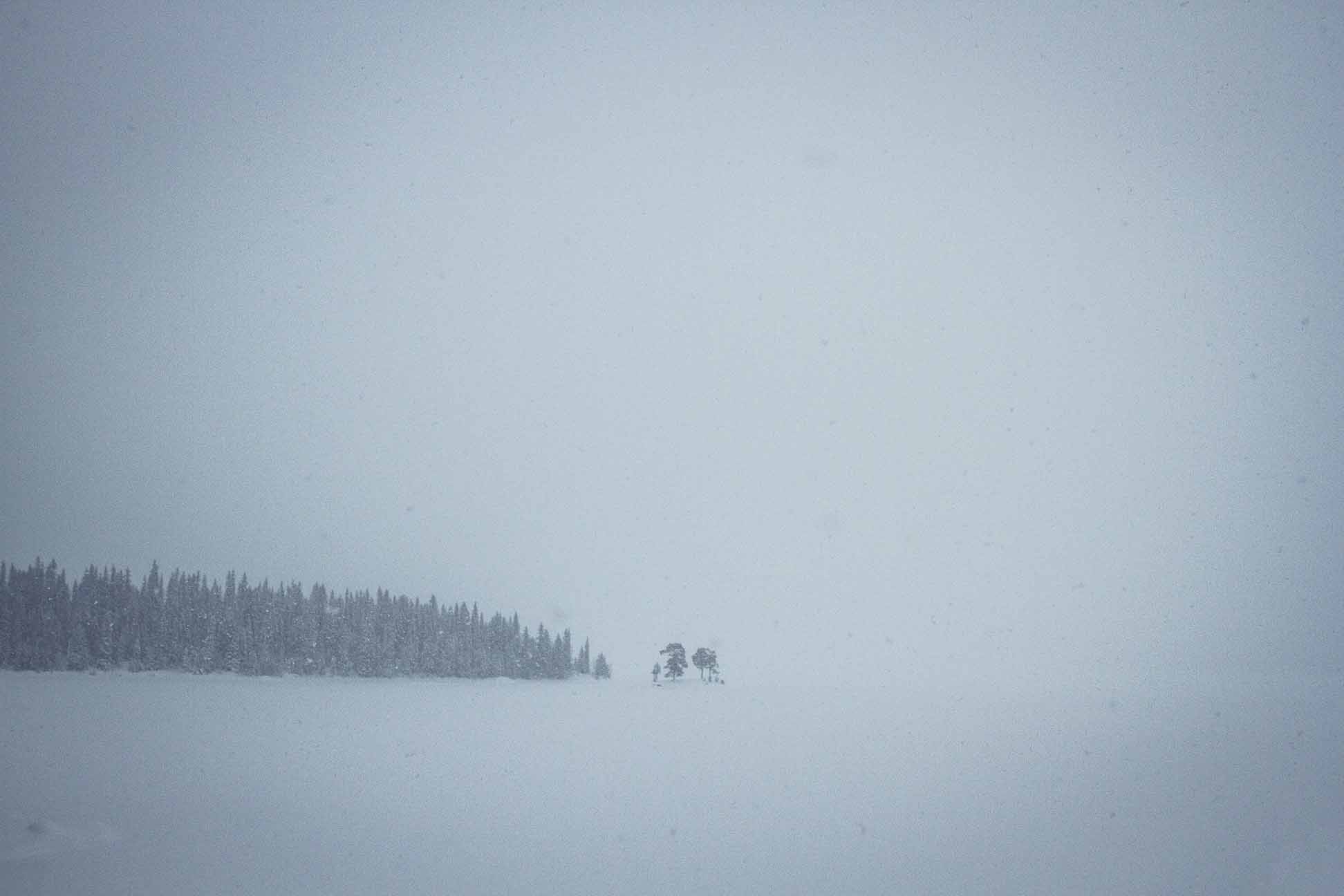 skäckerfjällen kolåsen IMG_8378