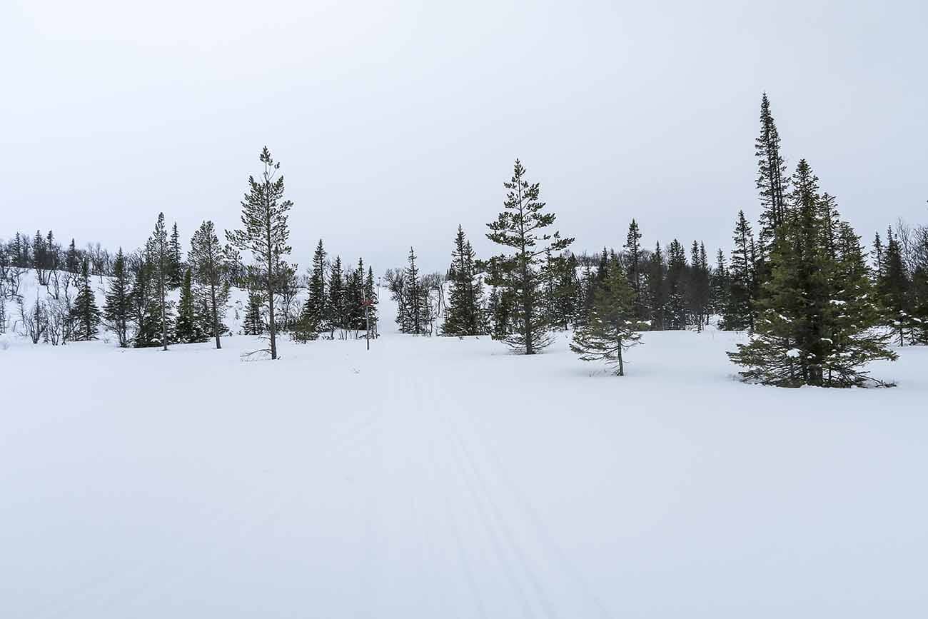 fjällmaraton banan ottsjö 05