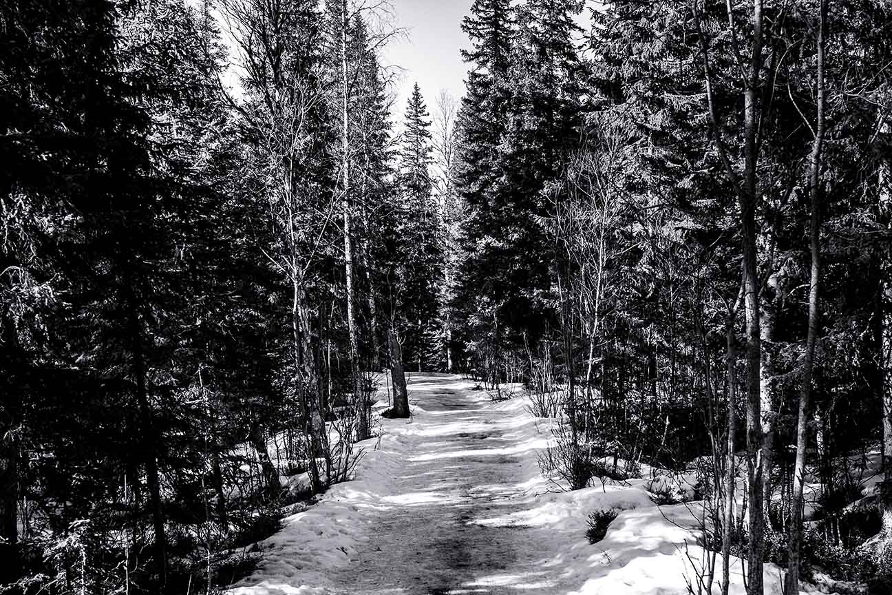 tännforsen 03