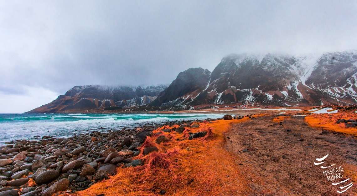 Untitled_Panorama1