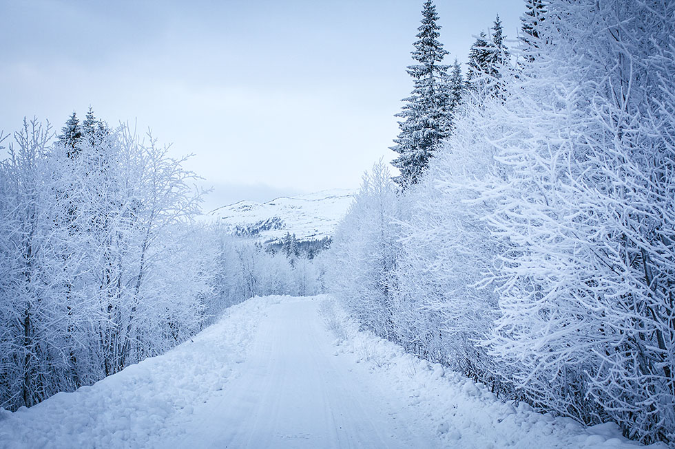 Vinter i Åre Ullådalen
