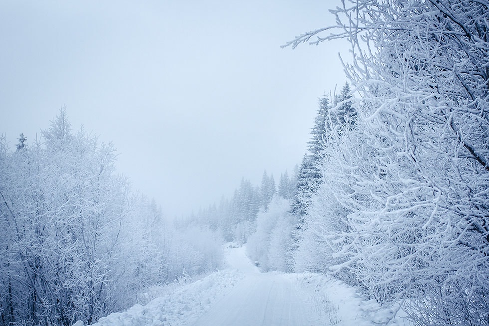 Vinter i Åre Ullådalen