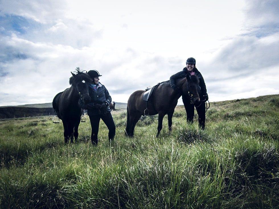 Islandshästar - ridning på Island