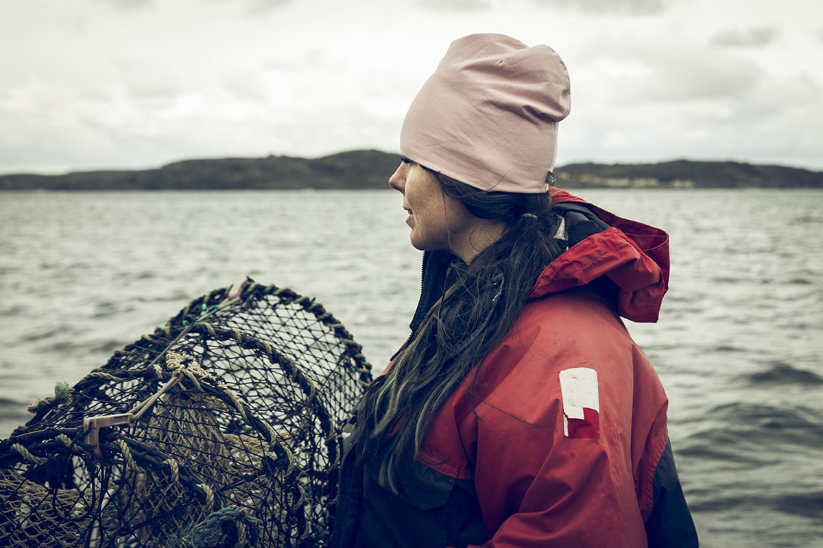 Fiska hummer Marstrand