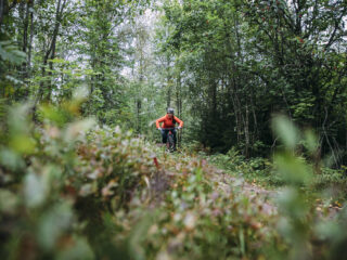 mtb-cykling i säfsen i fin skog med grön mossa