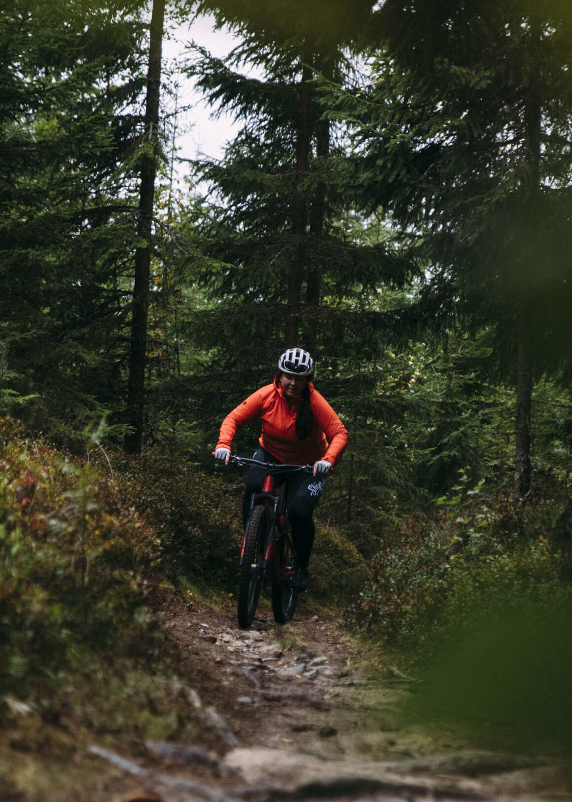mtb-cykling i säfsen i fin skog med grön mossa